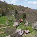 Domek Samotnia W Ogrodzie