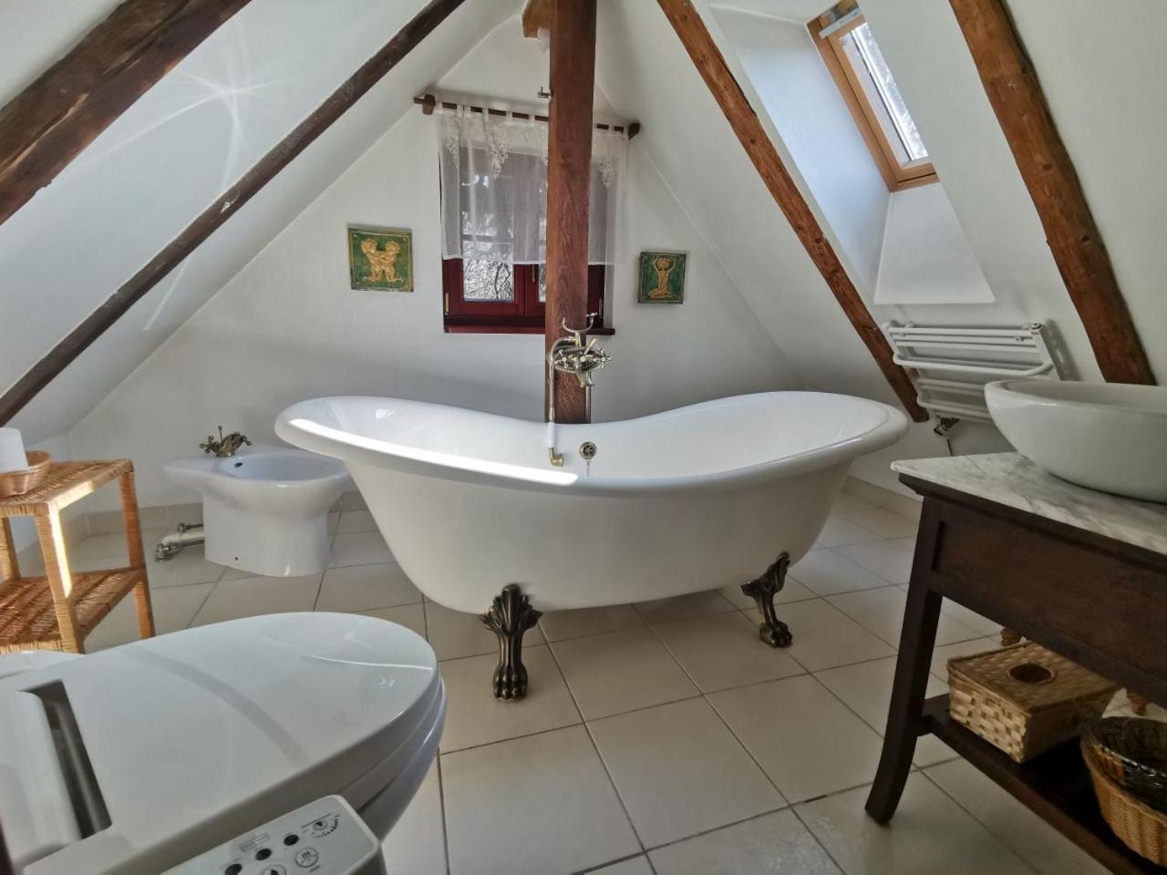 Samotnia W Ogrodzie Apartment